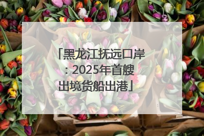 黑龙江抚远口岸：2025年首艘出境货船出港