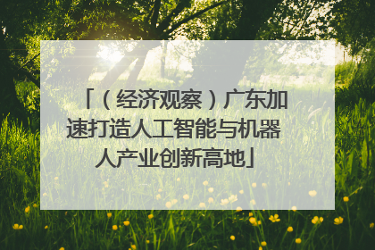 （经济观察）广东加速打造人工智能与机器人产业创新高地