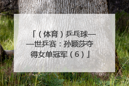 （体育）乒乓球——世乒赛：孙颖莎夺得女单冠军（6）