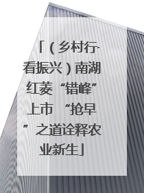 （乡村行·看振兴）南湖红菱“错峰”上市 “抢早”之道诠释农业新生