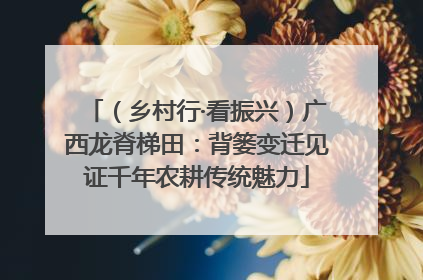 （乡村行·看振兴）广西龙脊梯田：背篓变迁见证千年农耕传统魅力