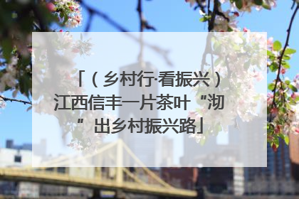 （乡村行·看振兴）江西信丰一片茶叶“沏”出乡村振兴路