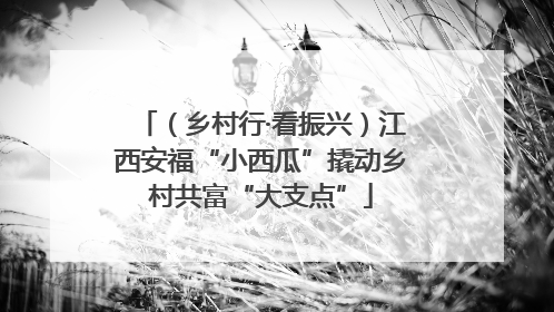 （乡村行·看振兴）江西安福“小西瓜”撬动乡村共富“大支点”