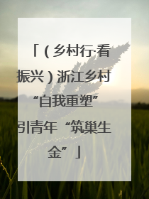 （乡村行·看振兴）浙江乡村“自我重塑” 引青年“筑巢生金”