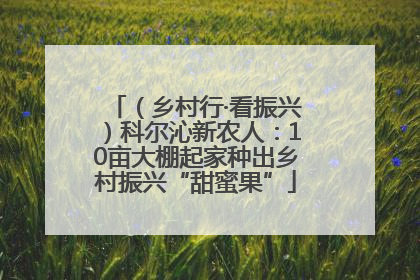 （乡村行·看振兴）科尔沁新农人：10亩大棚起家种出乡村振兴“甜蜜果”