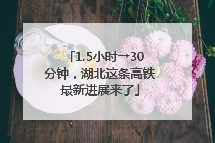1.5小时→30分钟，湖北这条高铁最新进展来了