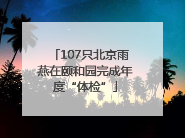 107只北京雨燕在颐和园完成年度“体检”