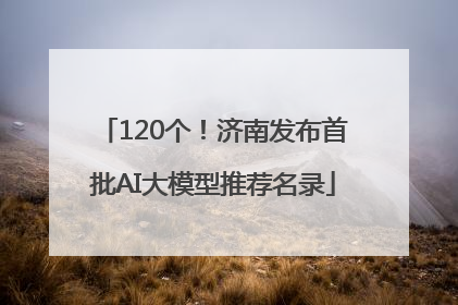 120个！济南发布首批AI大模型推荐名录