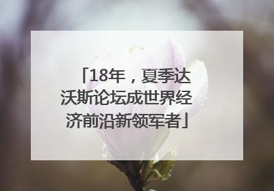 18年，夏季达沃斯论坛成世界经济前沿新领军者
