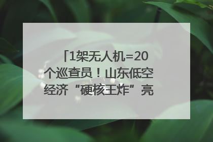 1架无人机=20个巡查员！山东低空经济“硬核王炸”亮相青岛，下一个万亿赛道藏在这里