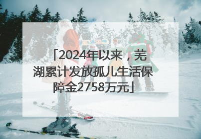 2024年以来，芜湖累计发放孤儿生活保障金2758万元