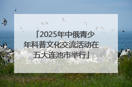 2025年中俄青少年科普文化交流活动在五大连池市举行