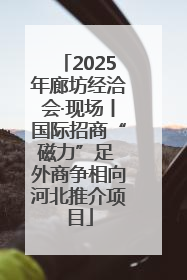 2025年廊坊经洽会·现场丨国际招商“磁力”足 外商争相向河北推介项目