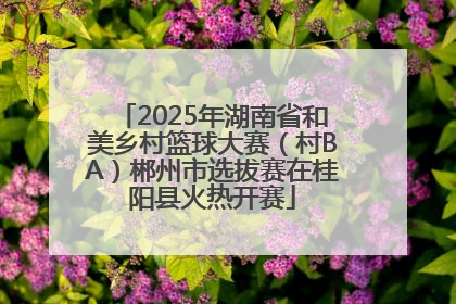 2025年湖南省和美乡村篮球大赛（村BA）郴州市选拔赛在桂阳县火热开赛