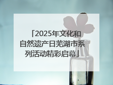 2025年文化和自然遗产日芜湖市系列活动精彩启幕