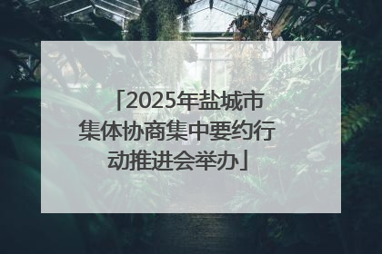 2025年盐城市集体协商集中要约行动推进会举办