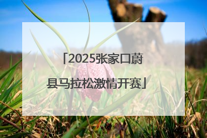 2025张家口蔚县马拉松激情开赛