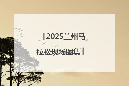 2025兰州马拉松现场图集