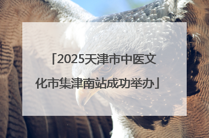 2025天津市中医文化市集津南站成功举办