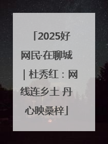 2025好网民·在聊城｜杜秀红：网线连乡土 丹心映桑梓