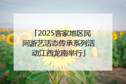 2025客家地区民间游艺活态传承系列活动江西龙南举行