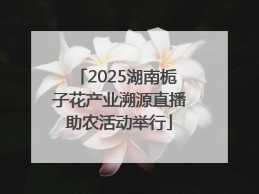 2025湖南栀子花产业溯源直播助农活动举行