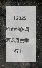 2025维也纳多瑙河龙舟赛举行