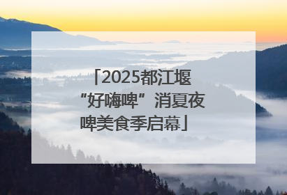 2025都江堰“好嗨啤”消夏夜啤美食季启幕