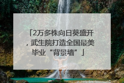 2万多株向日葵盛开，武生院打造全国最美毕业“背景墙”