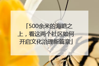 500余米的海塘之上，看这两个社区如何开启文化治理新篇章