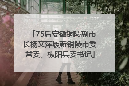 75后安徽铜陵副市长杨文萍履新铜陵市委常委、枞阳县委书记