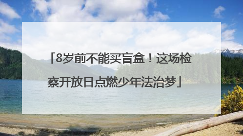 8岁前不能买盲盒！这场检察开放日点燃少年法治梦