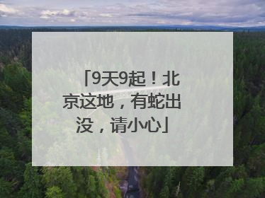 9天9起！北京这地，有蛇出没，请小心