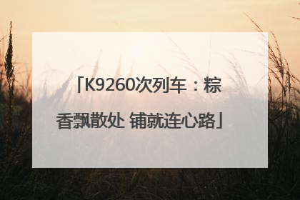 K9260次列车：粽香飘散处 铺就连心路