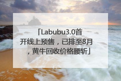 Labubu3.0首开线上预售，已排至8月，黄牛回收价格腰斩