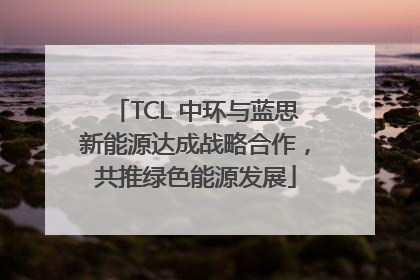 TCL 中环与蓝思新能源达成战略合作，共推绿色能源发展